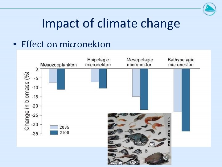 Impact of climate change Image: Valerie Allain, SPC • Effect on micronekton 