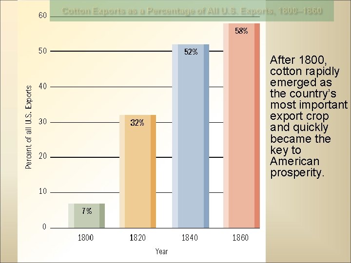 After 1800, cotton rapidly emerged as the country’s most important export crop and quickly