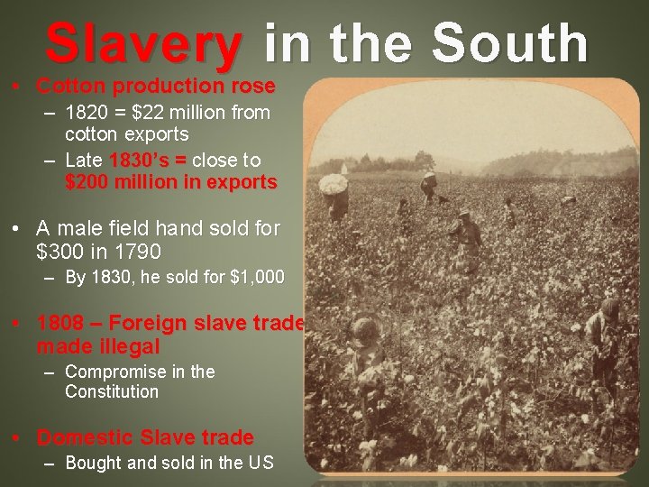 Slavery in the South • Cotton production rose – 1820 = $22 million from