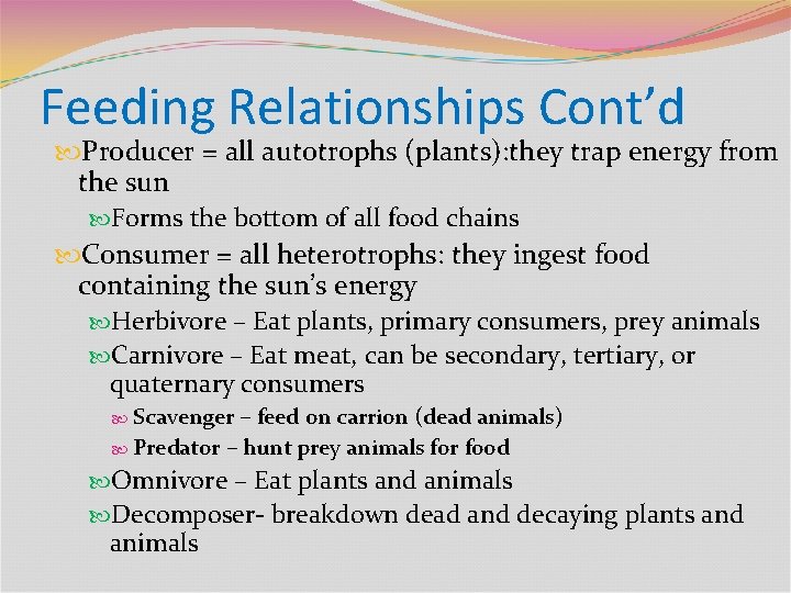 Feeding Relationships Cont’d Producer = all autotrophs (plants): they trap energy from the sun