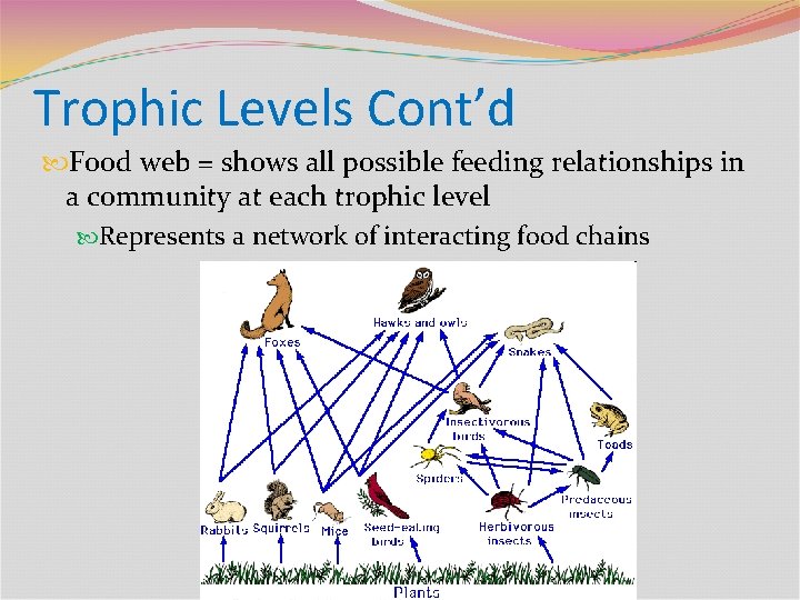 Trophic Levels Cont’d Food web = shows all possible feeding relationships in a community