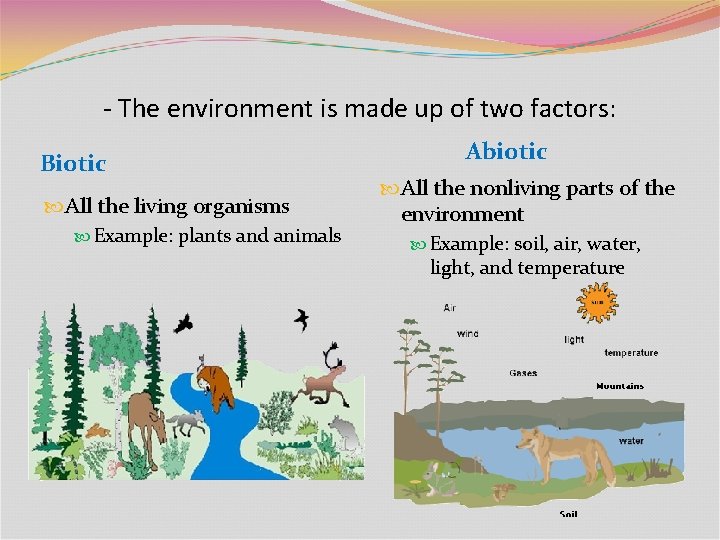 - The environment is made up of two factors: Biotic All the living organisms