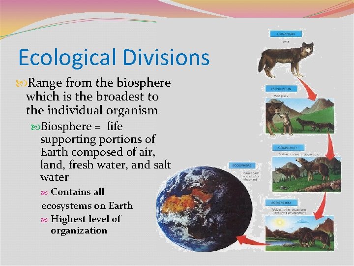 Ecological Divisions Range from the biosphere which is the broadest to the individual organism