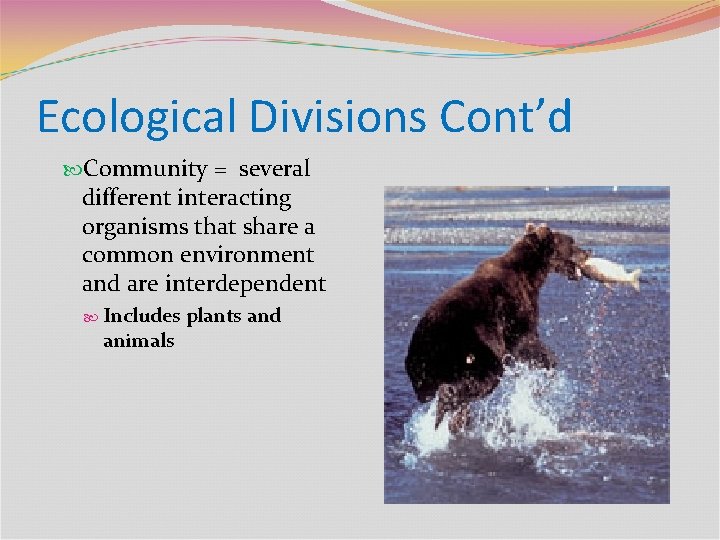 Ecological Divisions Cont’d Community = several different interacting organisms that share a common environment
