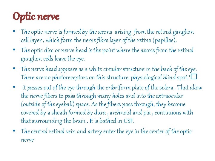 Optic nerve • The optic nerve is formed by the axons arising from the