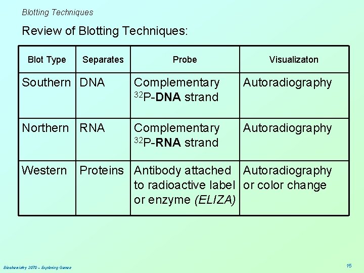 Blotting Techniques Review of Blotting Techniques: Blot Type Separates Probe Visualizaton Southern DNA Complementary