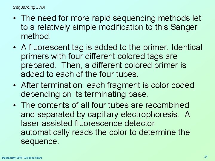 Sequencing DNA • The need for more rapid sequencing methods let to a relatively