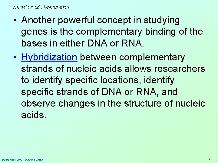 Nucleic Acid Hybridization • Another powerful concept in studying genes is the complementary binding