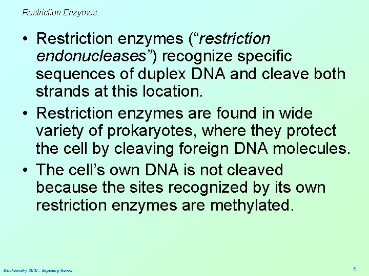 Restriction Enzymes • Restriction enzymes (“restriction endonucleases”) recognize specific sequences of duplex DNA and