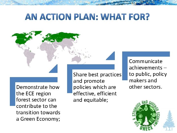 Demonstrate how the ECE region forest sector can contribute to the transition towards a