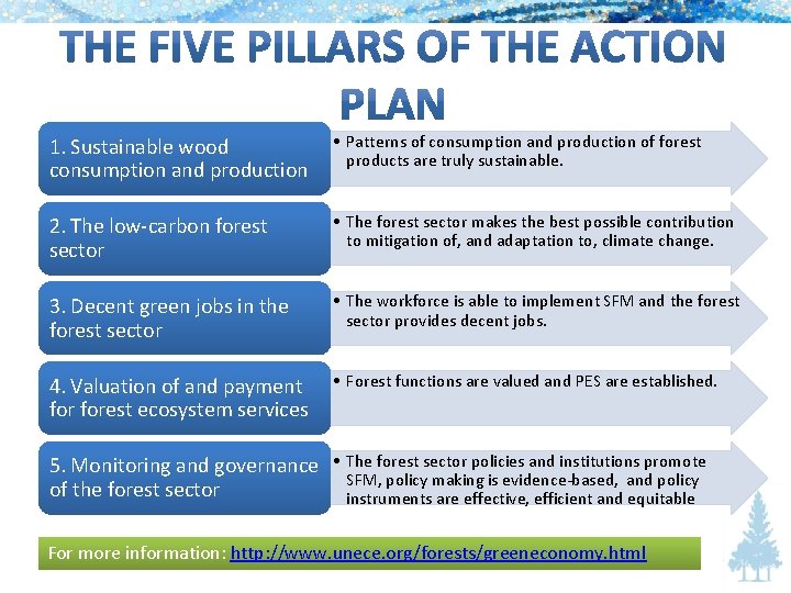 1. Sustainable wood consumption and production • Patterns of consumption and production of forest