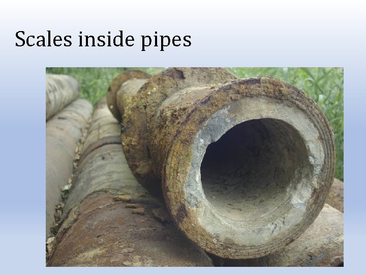 Scales inside pipes 