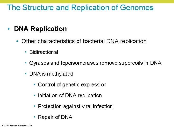 The Structure and Replication of Genomes • DNA Replication • Other characteristics of bacterial The Structure and Replication of Genomes • DNA Replication • Other characteristics of bacterial
