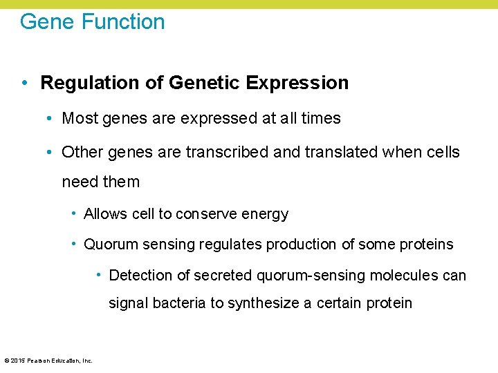 Gene Function • Regulation of Genetic Expression • Most genes are expressed at all Gene Function • Regulation of Genetic Expression • Most genes are expressed at all