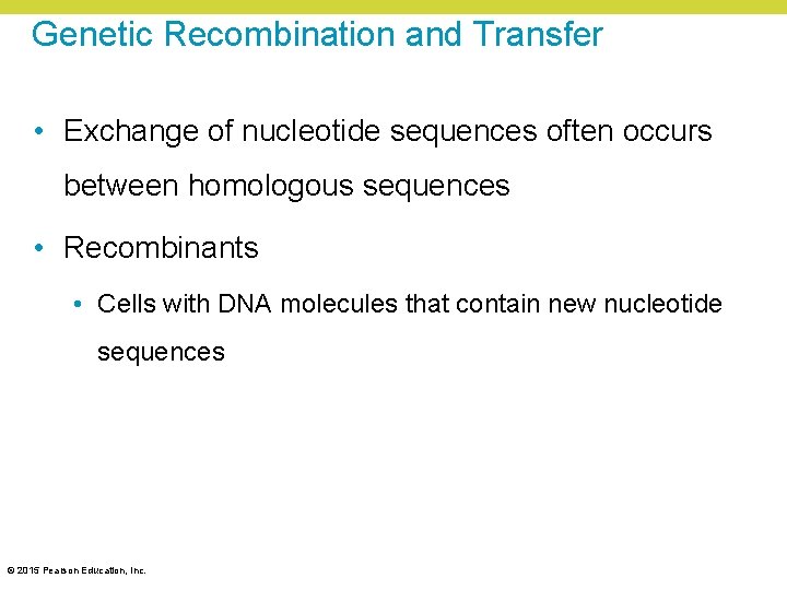 Genetic Recombination and Transfer • Exchange of nucleotide sequences often occurs between homologous sequences Genetic Recombination and Transfer • Exchange of nucleotide sequences often occurs between homologous sequences