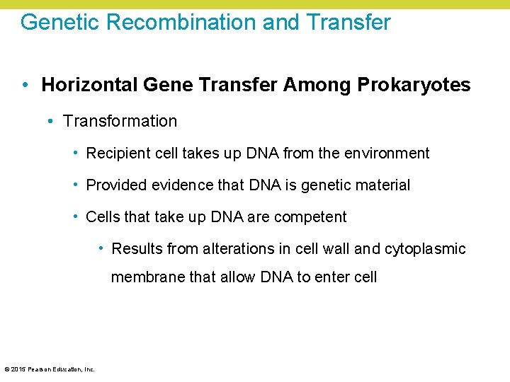 Genetic Recombination and Transfer • Horizontal Gene Transfer Among Prokaryotes • Transformation • Recipient Genetic Recombination and Transfer • Horizontal Gene Transfer Among Prokaryotes • Transformation • Recipient