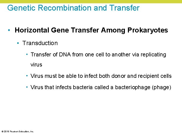 Genetic Recombination and Transfer • Horizontal Gene Transfer Among Prokaryotes • Transduction • Transfer Genetic Recombination and Transfer • Horizontal Gene Transfer Among Prokaryotes • Transduction • Transfer