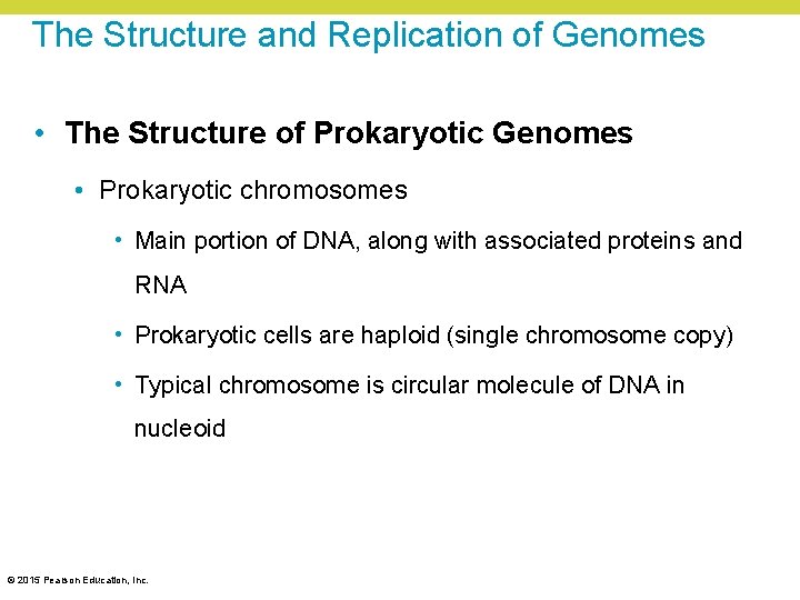 The Structure and Replication of Genomes • The Structure of Prokaryotic Genomes • Prokaryotic The Structure and Replication of Genomes • The Structure of Prokaryotic Genomes • Prokaryotic