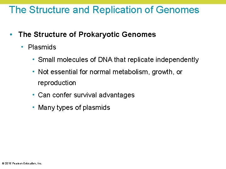 The Structure and Replication of Genomes • The Structure of Prokaryotic Genomes • Plasmids The Structure and Replication of Genomes • The Structure of Prokaryotic Genomes • Plasmids