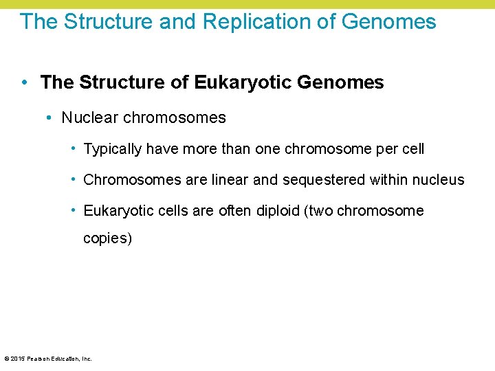 The Structure and Replication of Genomes • The Structure of Eukaryotic Genomes • Nuclear The Structure and Replication of Genomes • The Structure of Eukaryotic Genomes • Nuclear