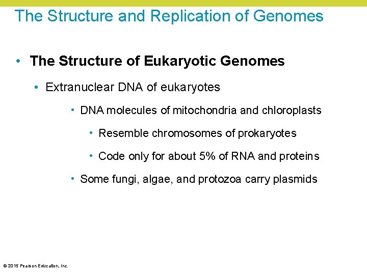 The Structure and Replication of Genomes • The Structure of Eukaryotic Genomes • Extranuclear The Structure and Replication of Genomes • The Structure of Eukaryotic Genomes • Extranuclear