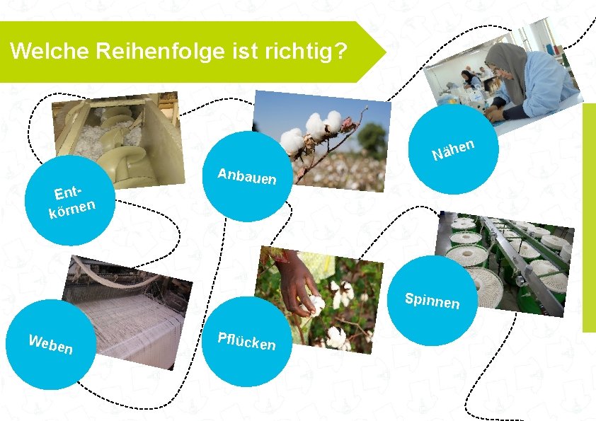 Welche Reihenfolge ist richtig? en h ä N Enten körn Anbauen Spinnen Webe n