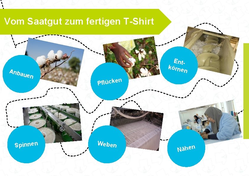 Vom Saatgut zum fertigen T-Shirt Anba uen Spinnen Entkörne n n Pflücke Weben Nähen