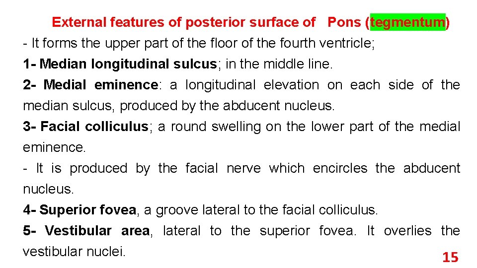 External features of posterior surface of Pons (tegmentum) - It forms the upper part