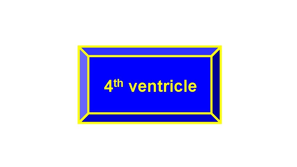 th 4 ventricle 