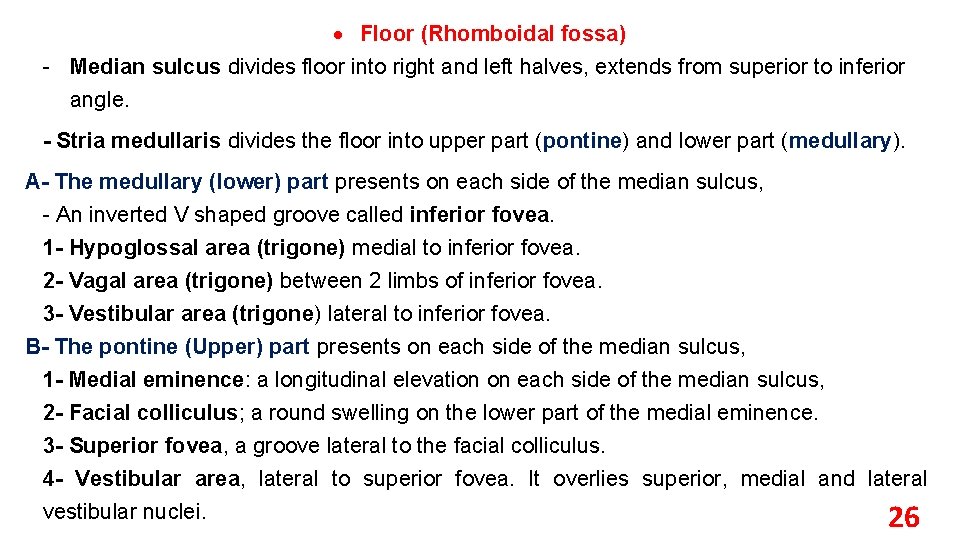  Floor (Rhomboidal fossa) - Median sulcus divides floor into right and left halves,