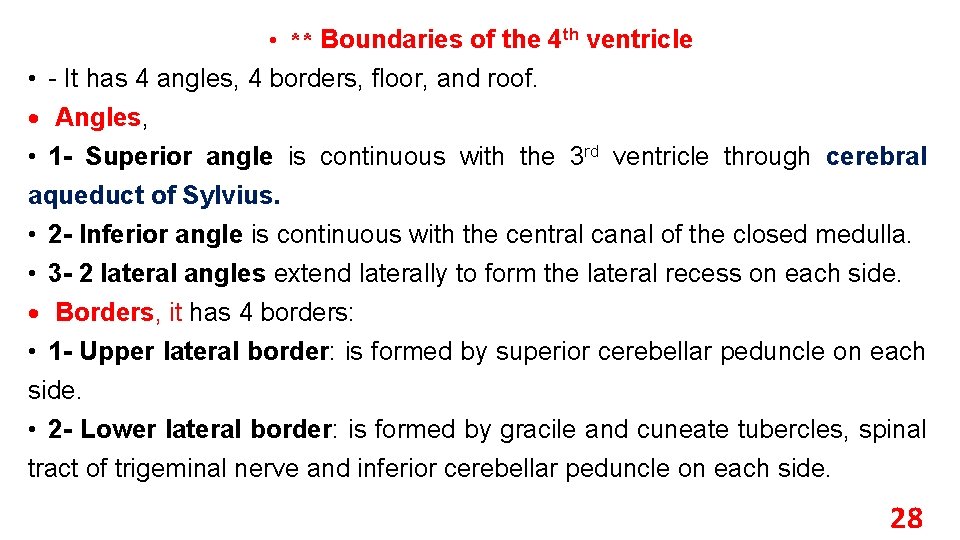  • ** Boundaries of the 4 th ventricle • - It has 4