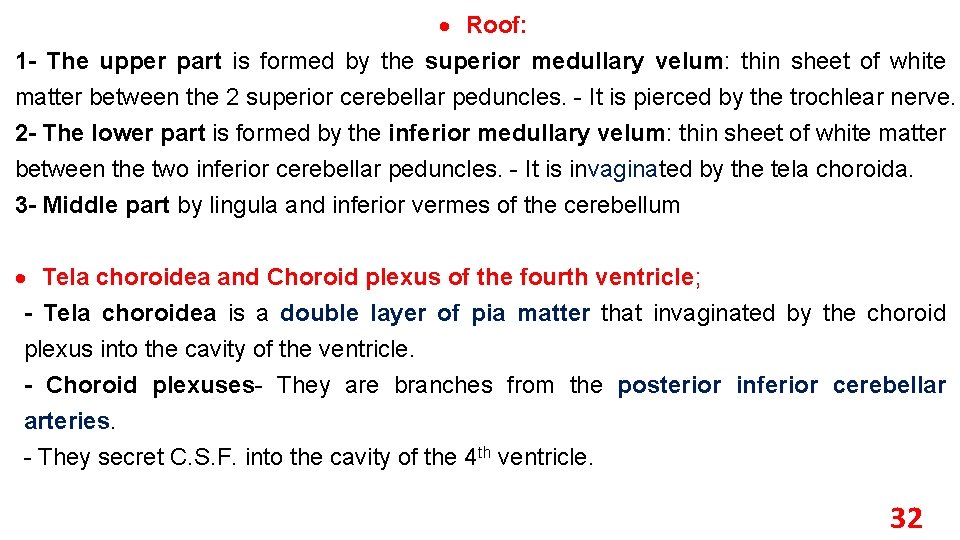  Roof: 1 - The upper part is formed by the superior medullary velum: