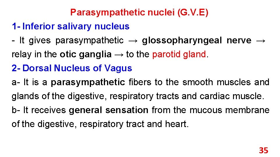 Parasympathetic nuclei (G. V. E) 1 - Inferior salivary nucleus - It gives parasympathetic