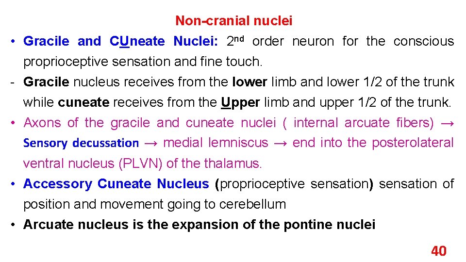 Non-cranial nuclei • Gracile and CUneate Nuclei: 2 nd order neuron for the conscious