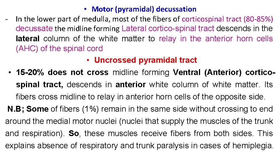  • Motor (pyramidal) decussation - In the lower part of medulla, most of