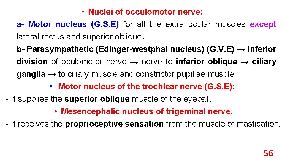  • Nuclei of occulomotor nerve: a- Motor nucleus (G. S. E) for all