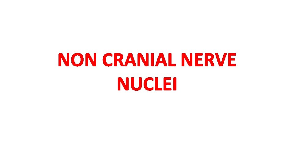 NON CRANIAL NERVE NUCLEI 