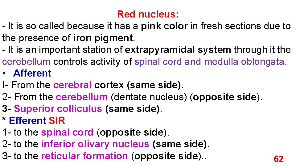 Red nucleus: - It is so called because it has a pink color in