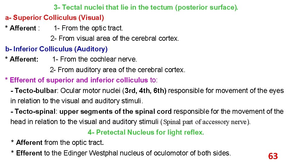 3 - Tectal nuclei that lie in the tectum (posterior surface). a- Superior Colliculus