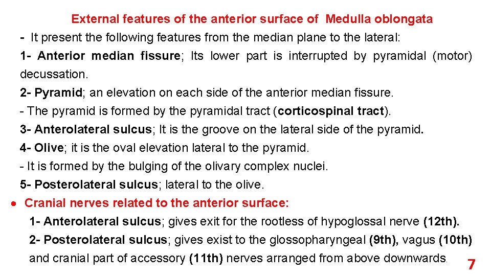 External features of the anterior surface of Medulla oblongata - It present the following