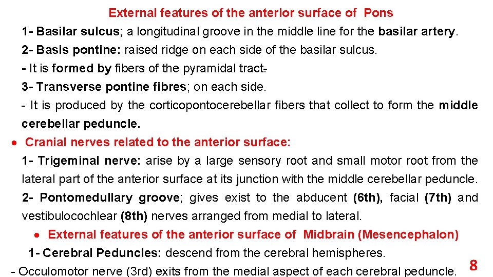 External features of the anterior surface of Pons 1 - Basilar sulcus; a longitudinal