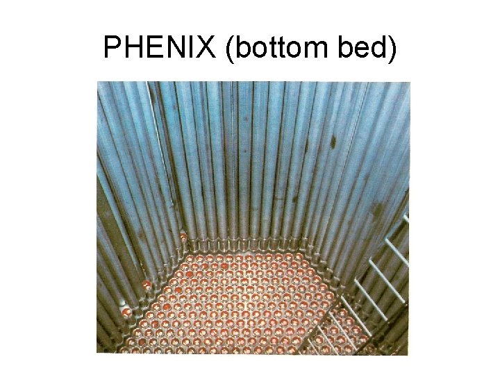 PHENIX (bottom bed) 