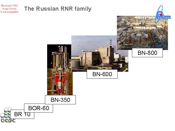 The Russian RNR family BN-800 BN-600 BN-350 BOR-60 BR 10 