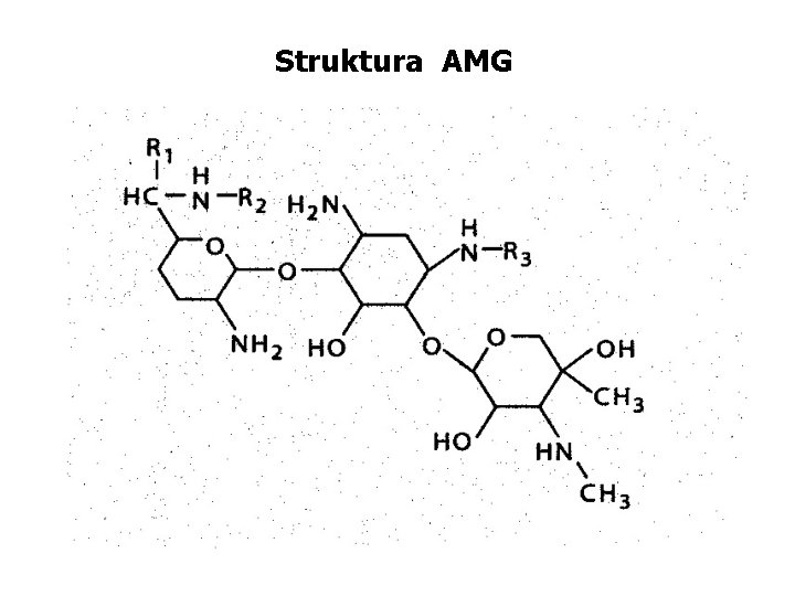 Struktura AMG 