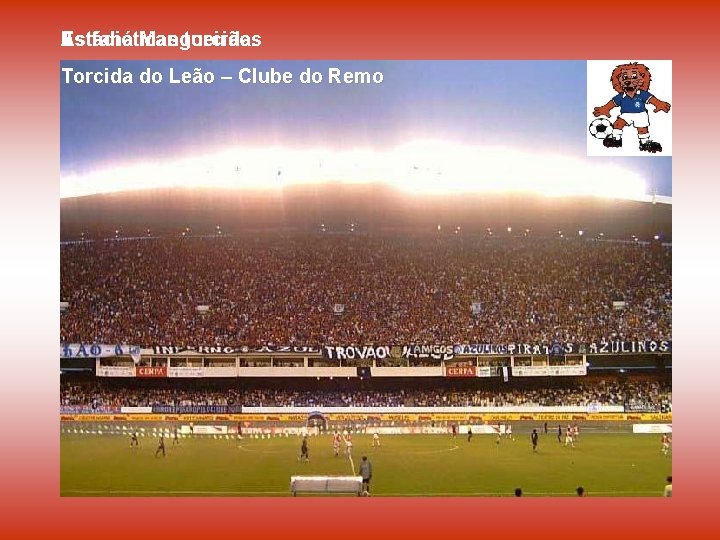 As Estádio fanáticas Mangueirão. torcidas Torcida do Cruzmaltina Papão Leão – -Clube Paysandu –