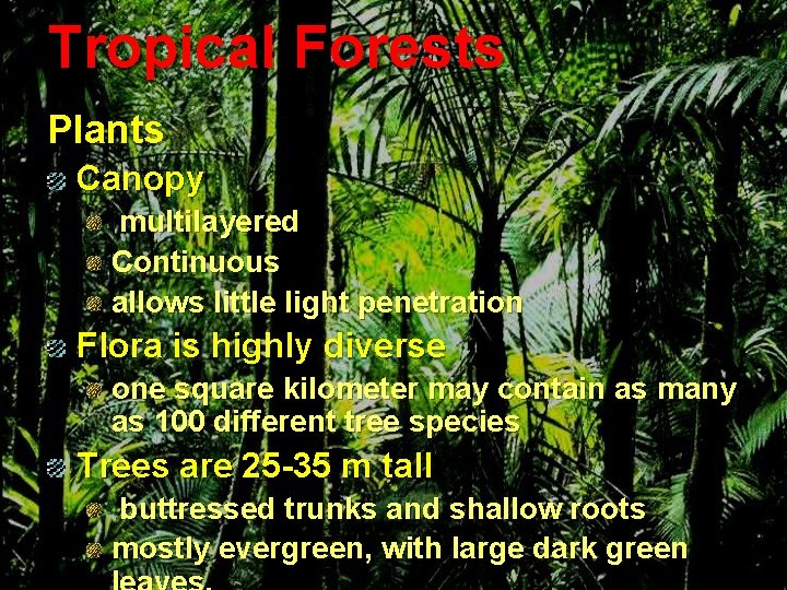 Tropical Forests Plants Canopy multilayered Continuous allows little light penetration Flora is highly diverse