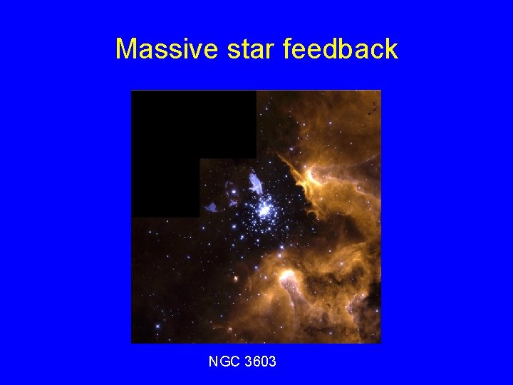 Massive star feedback NGC 3603 