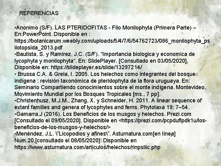 REFERENCIAS • Anonimo (S/F). LAS PTERIDOFITAS - Filo Monilophyta (Primera Parte) – En: Power.