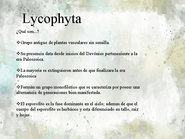 Lycophyta ¿Qué son. . . ? v. Grupo antiguo de plantas vasculares sin semilla.