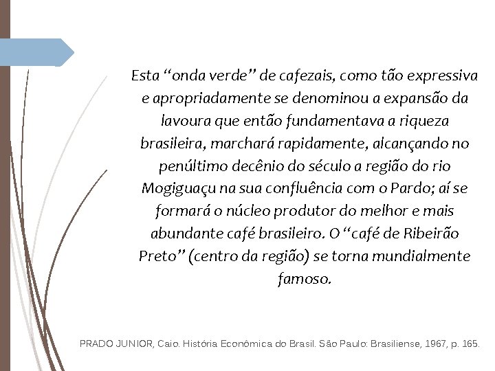 Esta “onda verde” de cafezais, como tão expressiva e apropriadamente se denominou a expansão